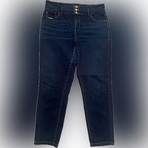 NWOT Ann Taylor Sz 14 Dark Blue The Skinny Curvy Fit Jeans